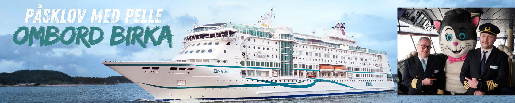 Helsingforskryssning med heldag i land